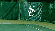Vinly Backdrop
