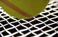 Tennis ball on stasis